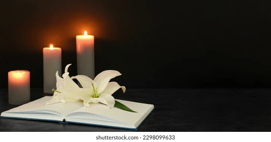 Shelly Kennedy Obituary, Madison, WI Death - In Loving Memory